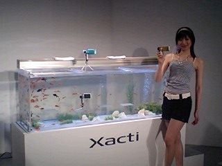 xacti_summer03_20070531.jpg